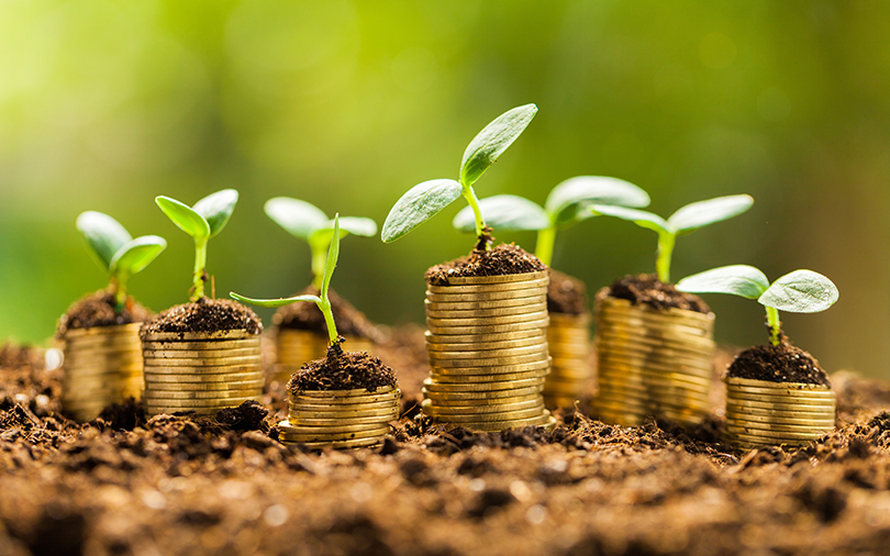 Micro Finance
