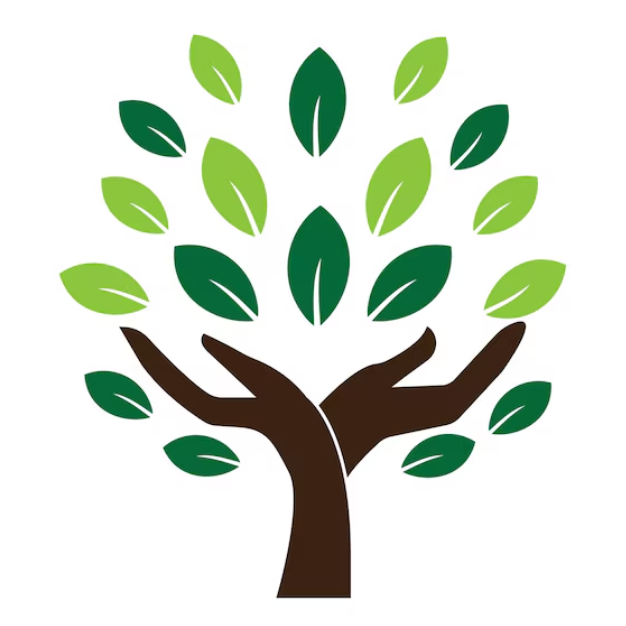 Startup Services