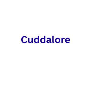 Nurse Call System at Cuddalore