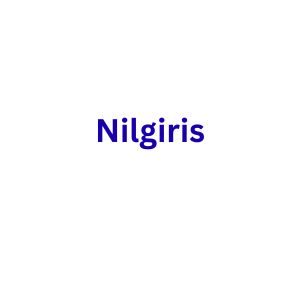 Nurse Call System at Nilgiris